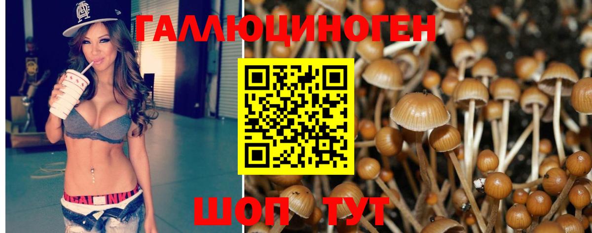 Псилоцибиновые грибы ЛСД Курчатов