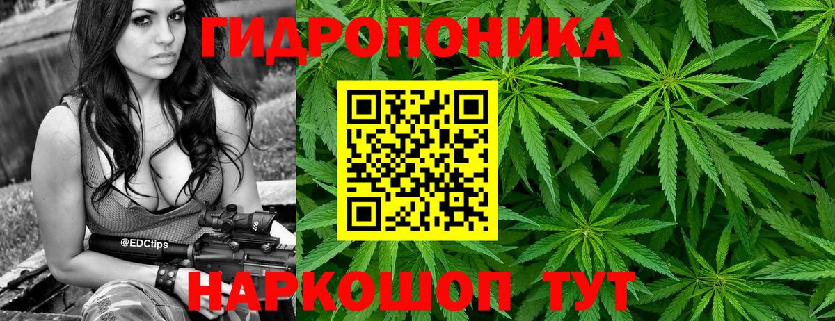 Курчатов  Бошки Шишки THC 21%  Вход с VPN  Бошки марихуана AK-47 